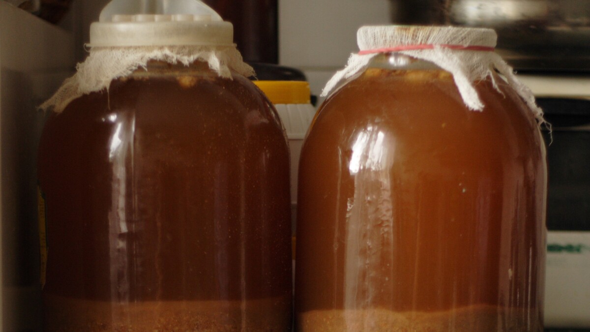A fizzy fermented drink made from leftover bread