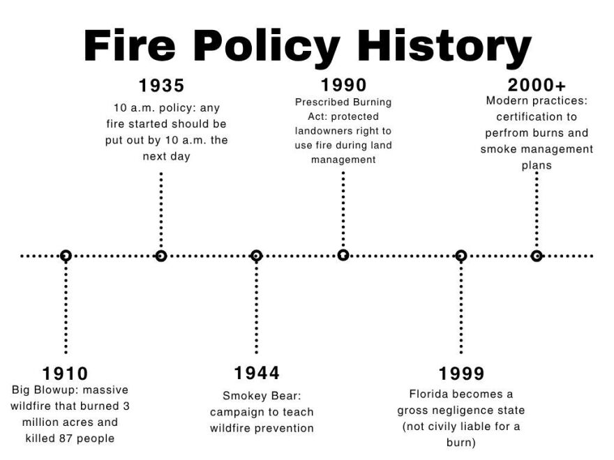 A century of U.S. fire policy shows how attitudes have evolved — going from full suppression to embracing fires as a vital tool for land stewardship. (Ann Rodgers/WUFT News)