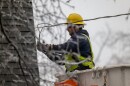 lineman in a cherry picker adjusting wires near a house, there's ice-covered branches out of focus in the foreground