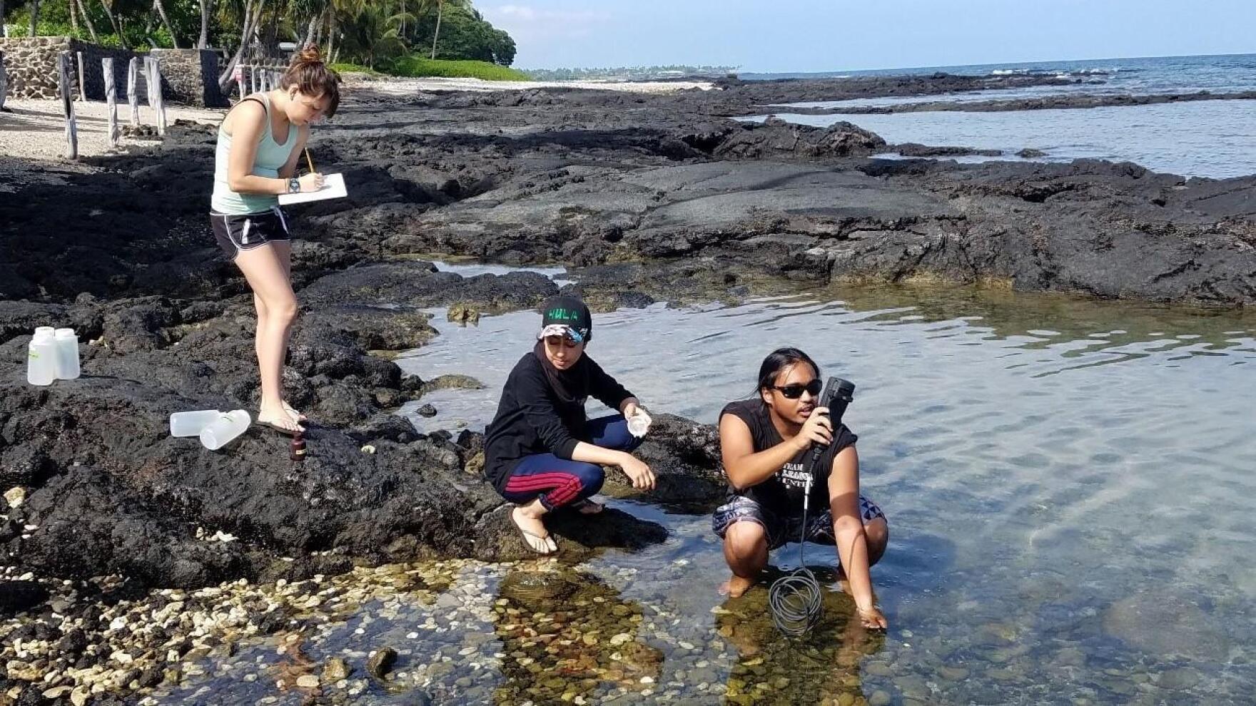 Researchers find sewage from an oceanfront Big Island community reaches