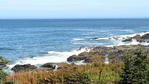 Rocky Shores as seen in early September, 2026.