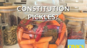 What's the difference between the House and the Senate? How do landmark Supreme Court decisions affect our lives? What does the 2nd Amendment really say? Civics 101 is the podcast about how our democracy works…or is supposed to work, anyway.
