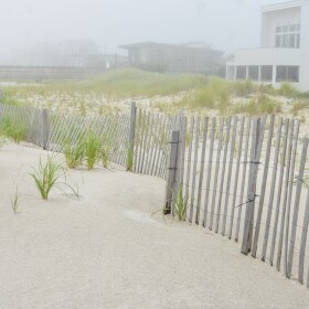 Fire Island, LI.