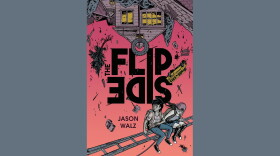 Cover of "The Flip Side" by Jason Walz; two youths sitting on a horizontal ladder under an upside-down house and several falling objects