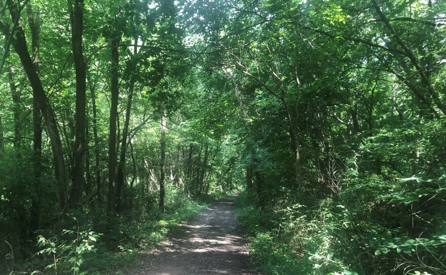 A stretch of decommissioned rail line forming the proposed Hanna City trail running from Bellevue to Farmington.