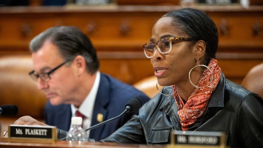 Delegate to Congress Stacey Plaskett