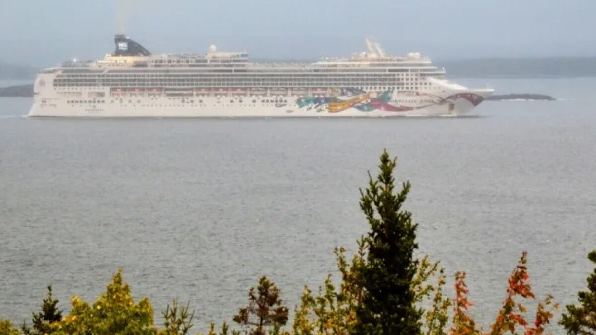 Federal officials remove 87 cruise ship crew members over alleged child sex abuse materials