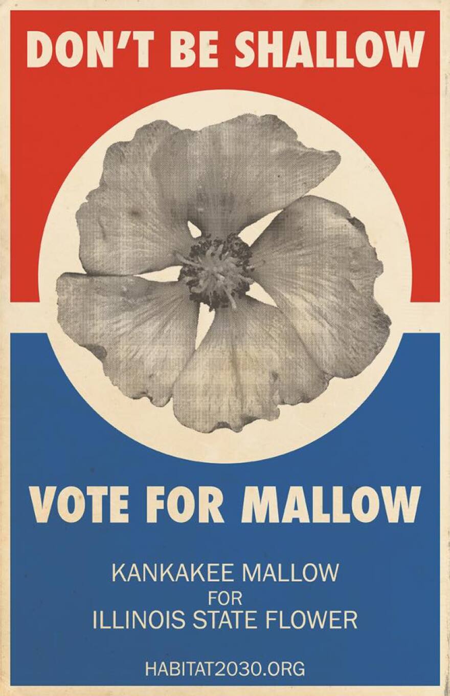 Poster for the campaign to make the Kankakee mallow the state flower of Illinois (Credit: Friends of Langham Island)