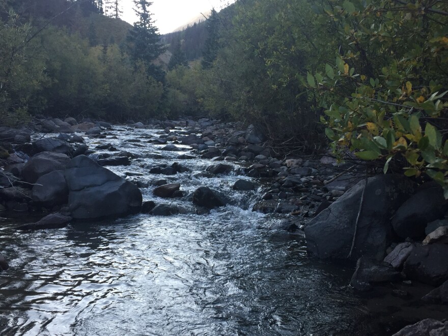 The Rio Grande flows through forests near its headwaters at the Continental Divide. Almost 70% of the river's natural flow is consumed before it leaves Colorado. Only 5% of the natural flow reaches the Big Bend.