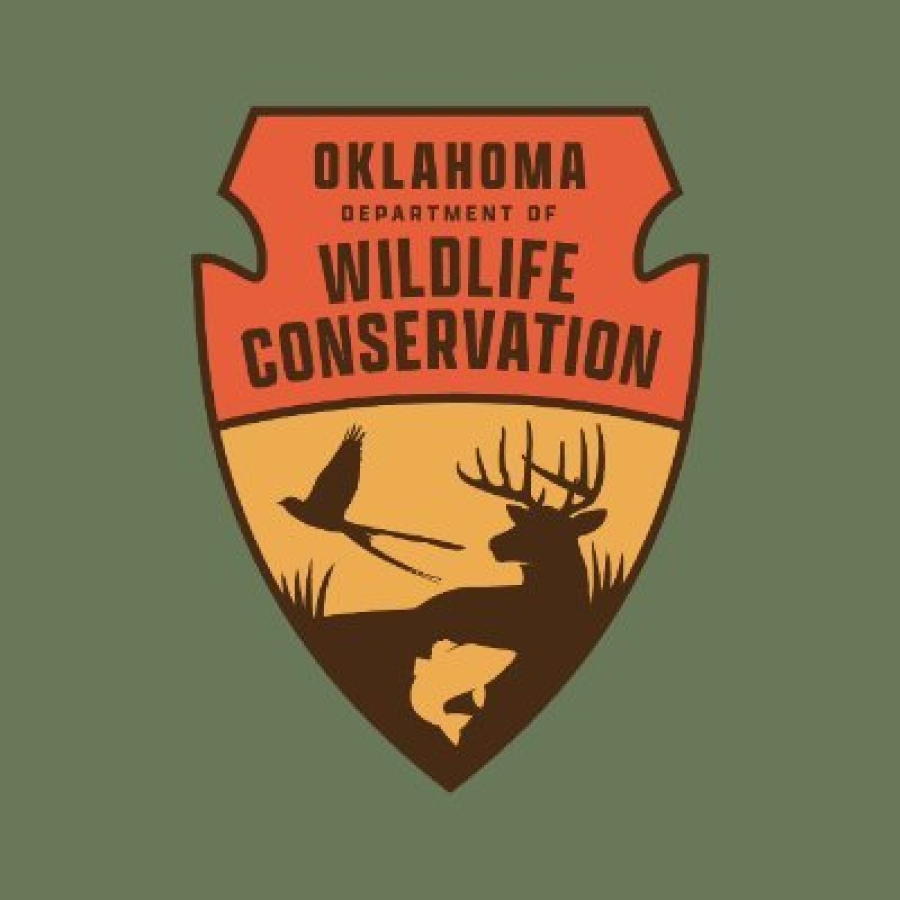 Oklahoma deer hunting season opens, as wildlife agency sees less