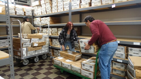 Gallatin County elections staff load absentee ballots to be mailed