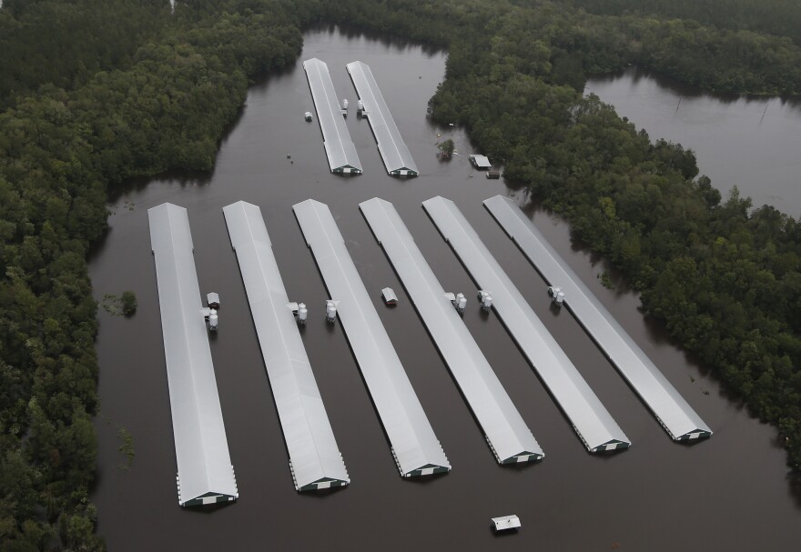 Chicken farm buildings are inundated Sunday with floodwater from Florence near Trenton, N.C.