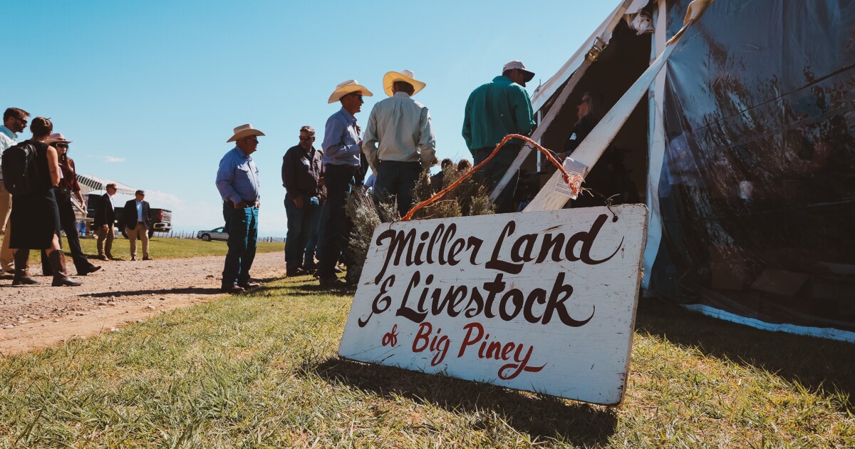 Big Piney’s Miller Ranch is recognized for bridging the conservation gap