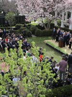 President Trump speaks during a news conference about the coronavirus pandemic in the Rose Garden of the White House on March 13.