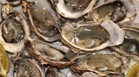 North Carolina's oyster sales doubled between 2005 and 2012.