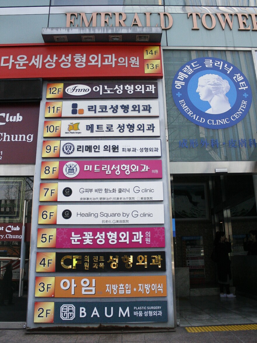 A floor-level guide to a multistory building in Seoul's Gangnam district shows a different cosmetic surgery clinic on every floor.