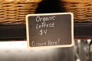 Brookford Farm's lettuce displayed in its Canterbury farm store.