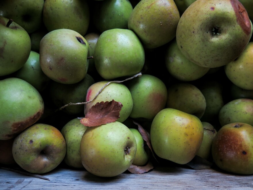 Apples used for hard cider.