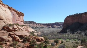 McDonald Creek Canyon is part of the McInnis Canyons National Conservation area near Grand Junction in Western Colorado.