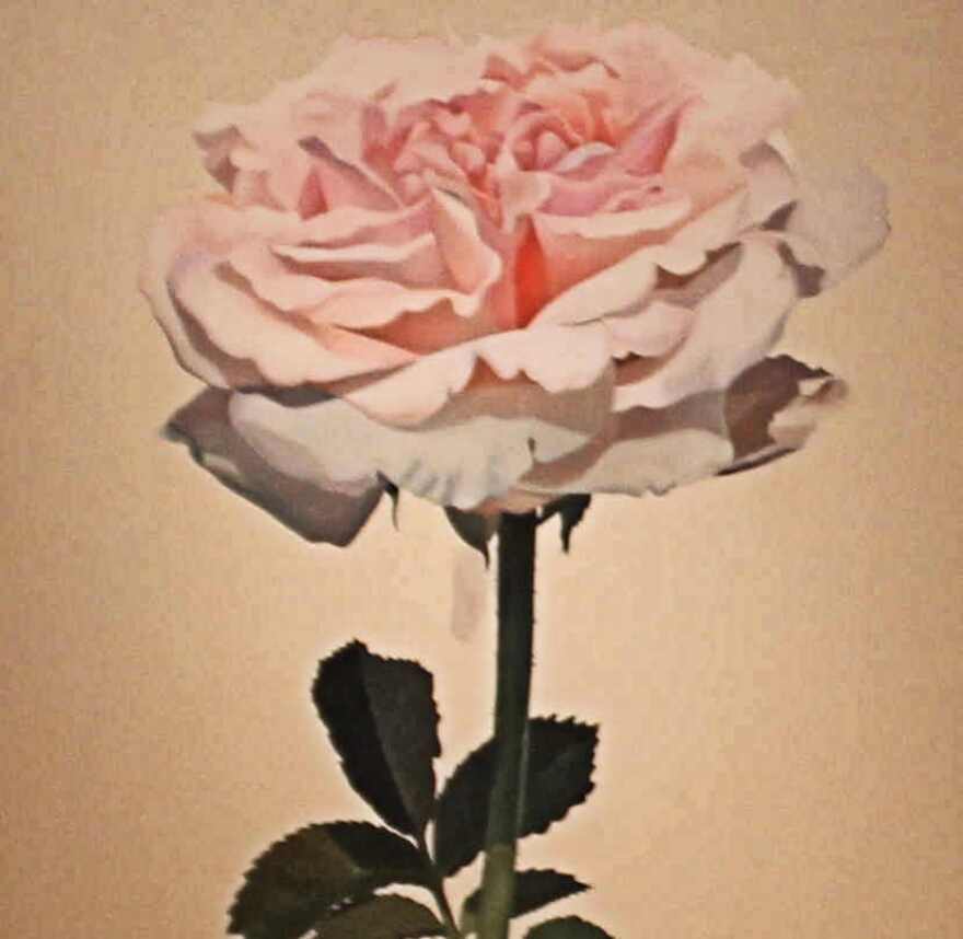 Detail of Boy Kong flower painting on view in Florida Contemporary exhibition at the Baker Museum.