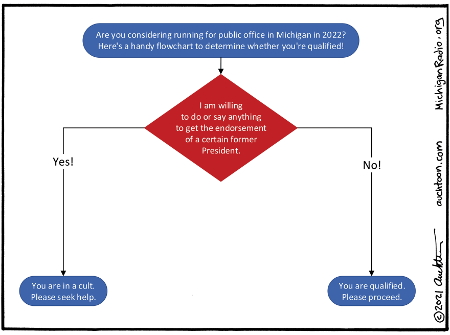 illustration of a flow chart for the election