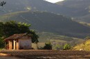 Coffee fruit dries in the late-afternoon sun on a farm in the Brazilian state of Minas Gerais.