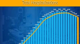 Net Number of Hospitalizations, as of Saturday, in New York