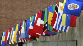 The flags of the Organization of American States (OAS)