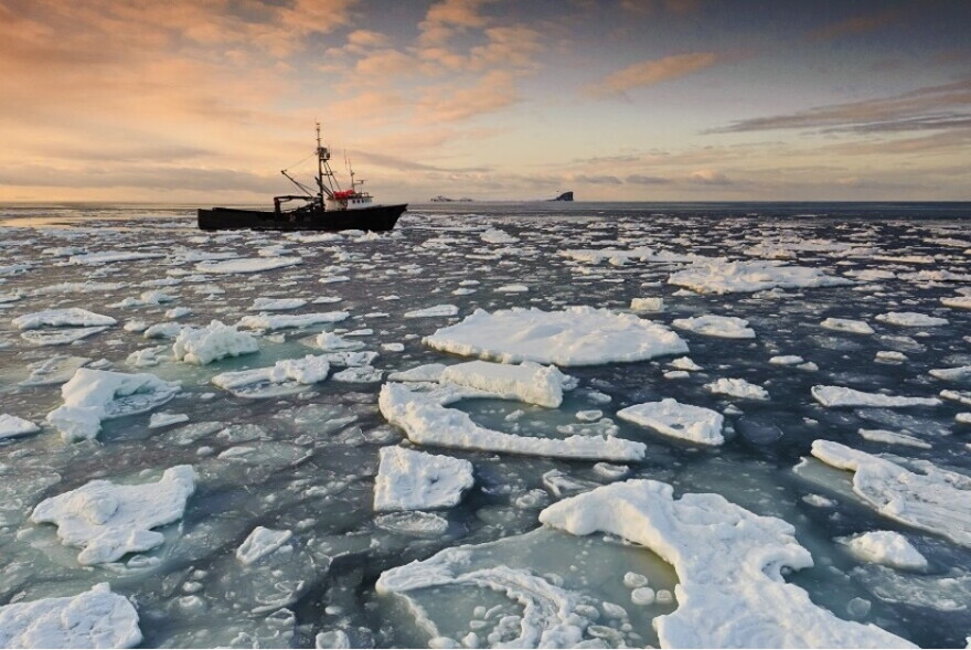 A fishing boat travels through sea ice at sunset