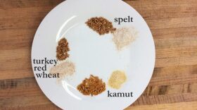 Eric Schedler of Muddy Fork Bakery discusses the differences between these three types of wheat, and why he chooses spelt for his pita bread.