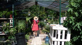 Erandi Trevino walks through a greenhouse at her home and also Verandi Secret Garden plant nursery in Houston, Texas.