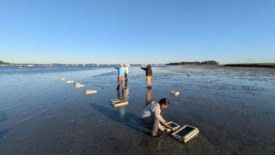 People stand near boxes spread across a shallow waterway that's reflecting the light of the sky.