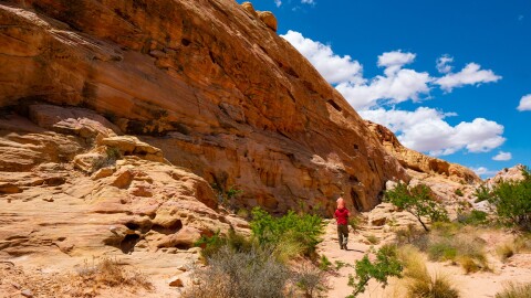 A lone hiker carrying a child on their shoulders walks along a sandy desert trail beneath a towering, smooth red sandstone cliff face, with scattered desert shrubs and a vivid blue sky with white clouds above.