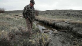 A man stands on the bank of a muddy creek.