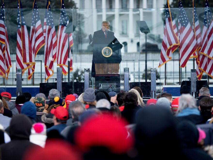 President Trump addresses his supporters at The Ellipse on Jan. 6, saying, "This election was stolen from you, from me, from the country." As he called for, crowds began marching toward the Capitol.