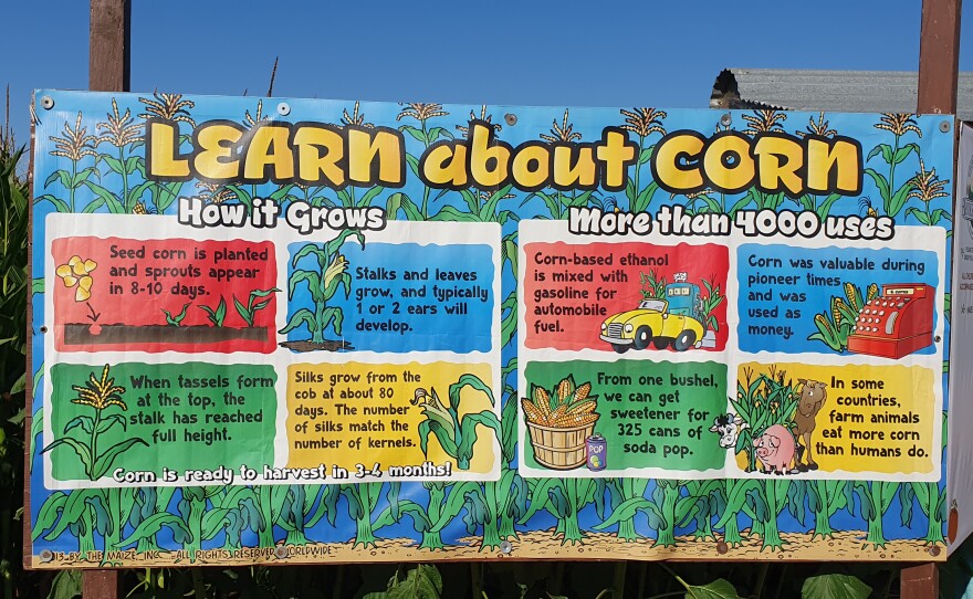 Learn about corn!