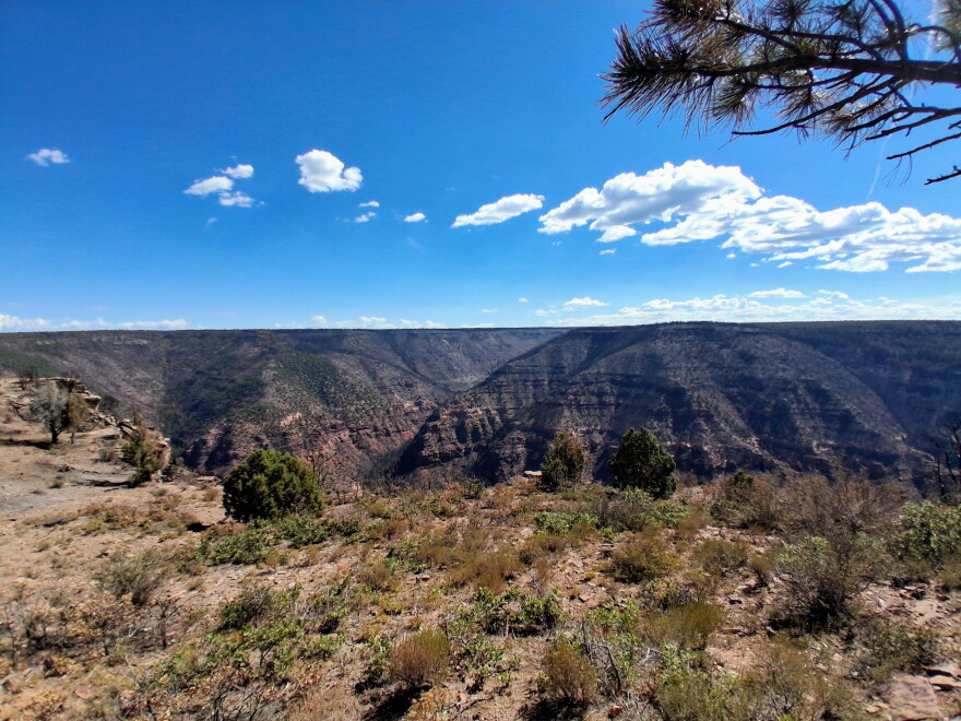 Burned and unburned vegetation create a patchwork across the Dolores River Canyon within the Ferris Fire area, showing how fire severity varied across the landscape.