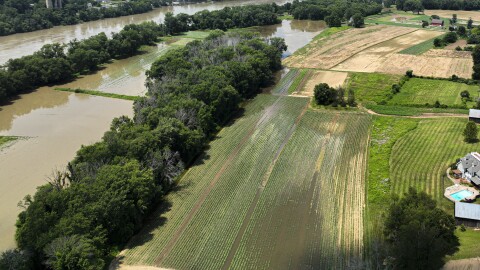 Flooding is causing farmers to lose their crop along the Connecticut River in Rocky Hill and Glastonbury, CT.