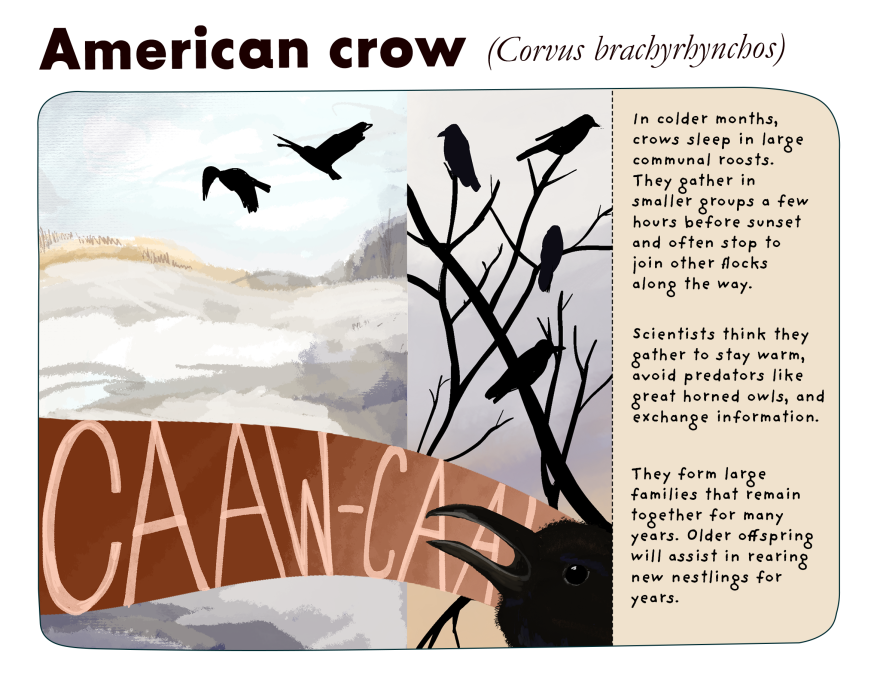 An illustration of large black birds sitting in a tree, with text on the right hand side