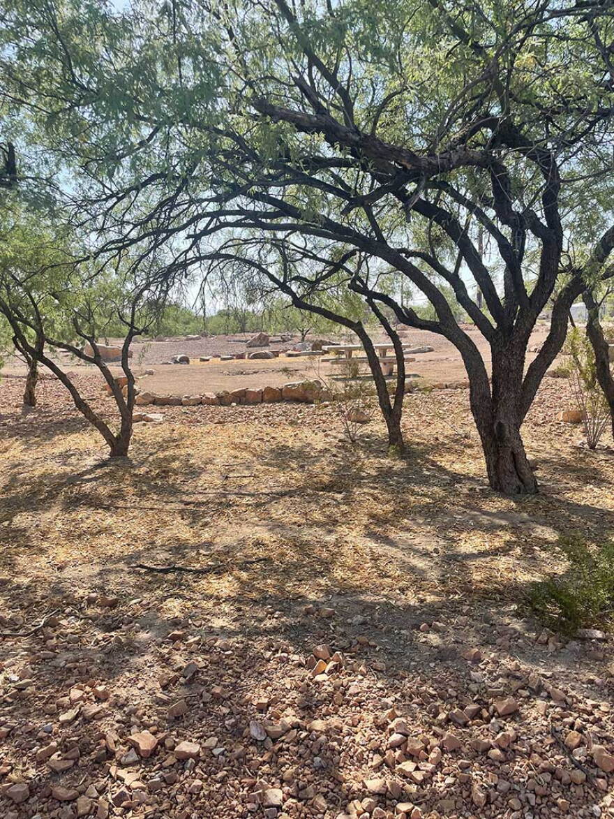 Tucson Clean and Beautiful Park with Trees