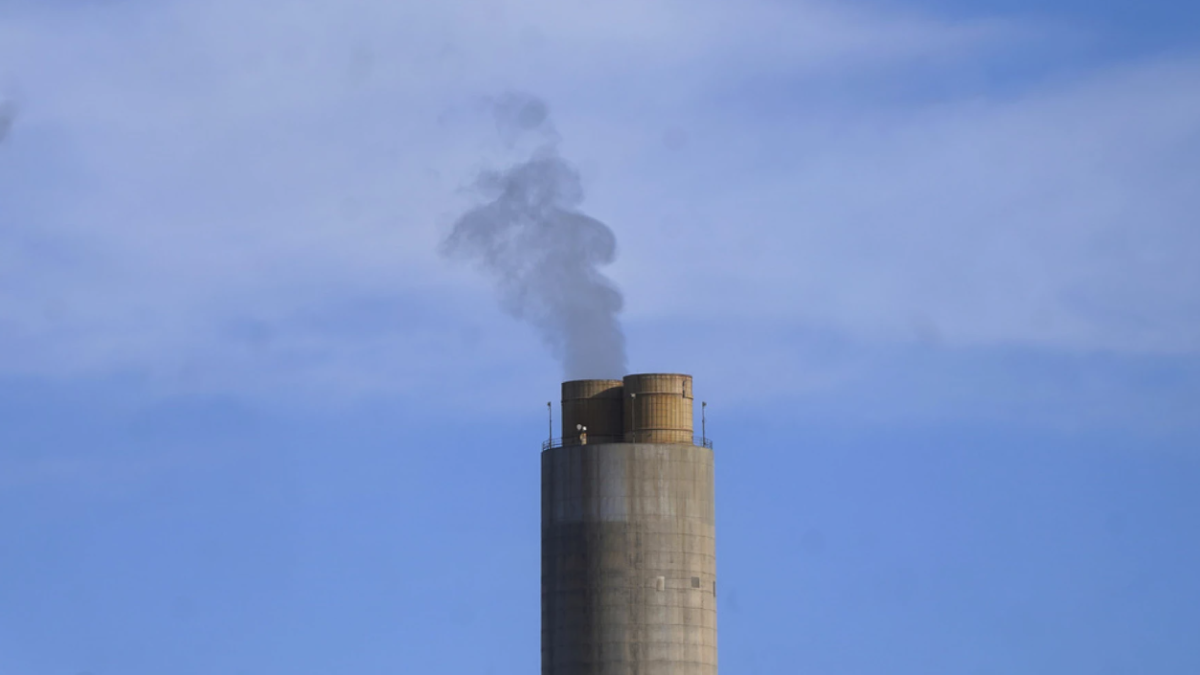 Pollution in Brunswick; Emerald Trail progress; Jacksonville's haunted history - Vimarsana News