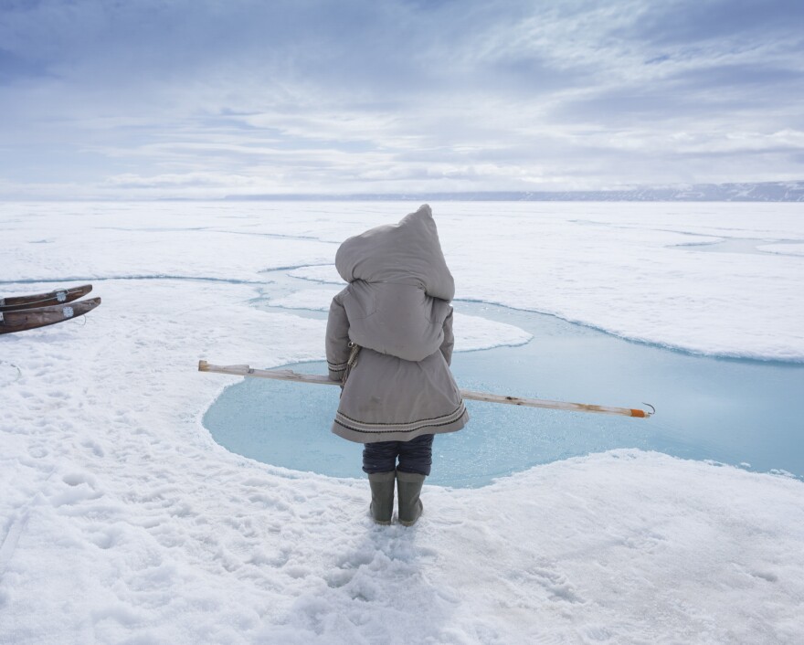 Carrying her baby in a pouch on her back, Susan Enoogoo, 39, hunts for ringed seal on the sea ice near Arctic Bay, Nunavut. Inuit mothers often carry their baby when hunting. If a seal surfaces, Enoogoo tries to snag it with the hook she's holding and drag it out of the water.