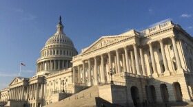 The House of Representatives side of the U.S. Capitol Building in Washington, D.C. The House voted on major gun legislation for the first time in decades. 
