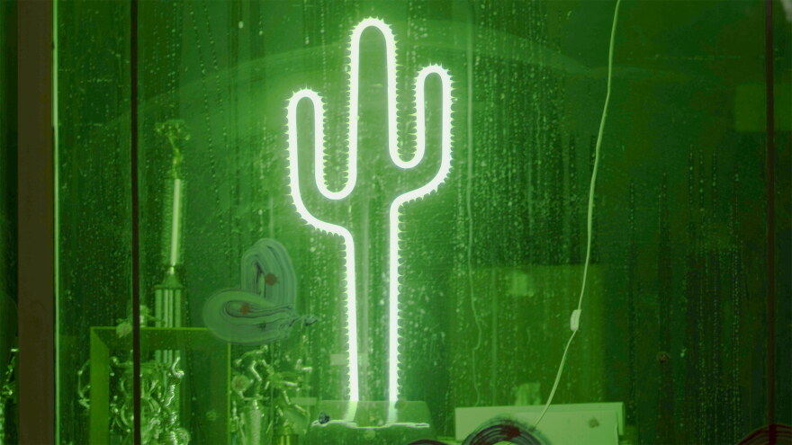 AZILL “Questions for a Saguaro” hero 