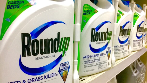 A row of white Roundup weedkiller bottles with an attached spray hose sit on a store shelf.