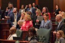 House Democrats surround Rep. Robyn Gabel, D-Evanston, as they vote on the fiscal year 2027 budget in the early hours of June 1, 2026.