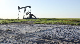 Salty wastewater from pumpjacks like this one near Glenburn, North Dakota, used to be dumped into pits on farmers' land. Over the years, the brine seeped into the surrounding fields. The resulting contamination continues to expand decades later. (Amy Sisk/Inside Energy)