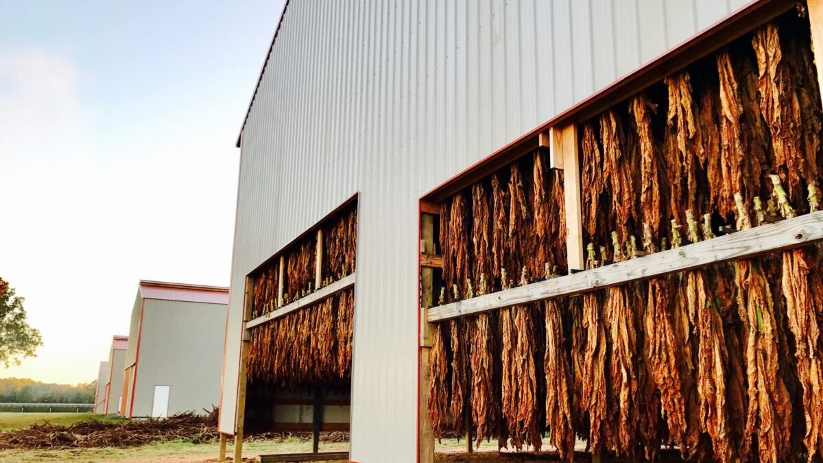 fort mill tobacco and vapor Fort Mill Tobacco & Vapor, 749 Crossroads Plz, Fortmill, SC 29708, US