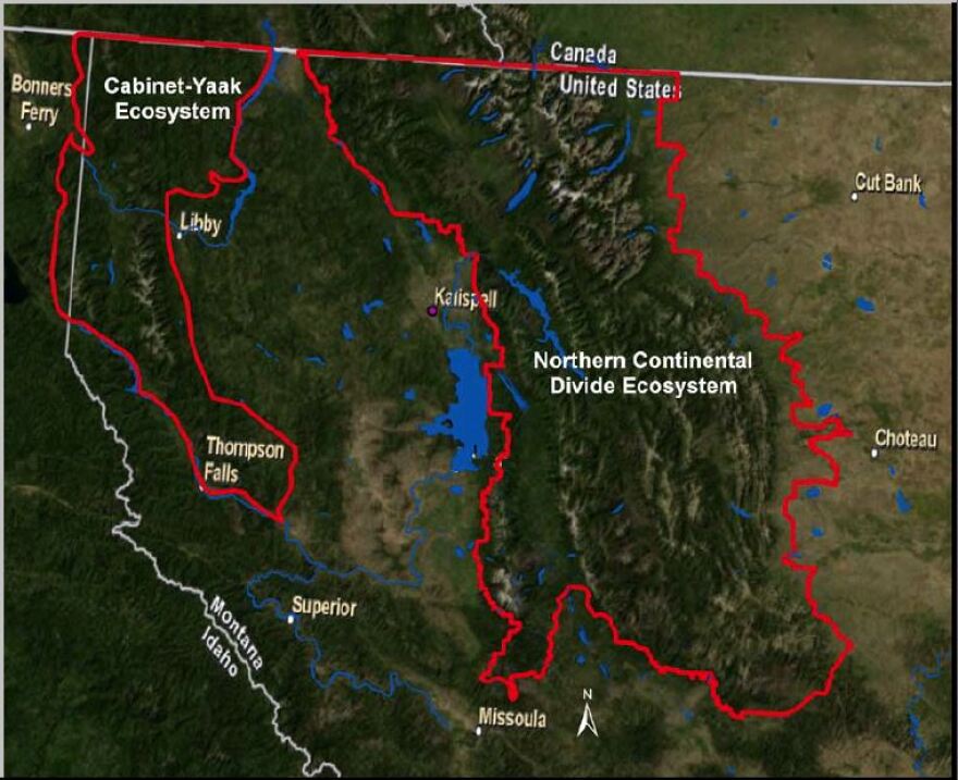 Northern Continental Divide Ecosystem.