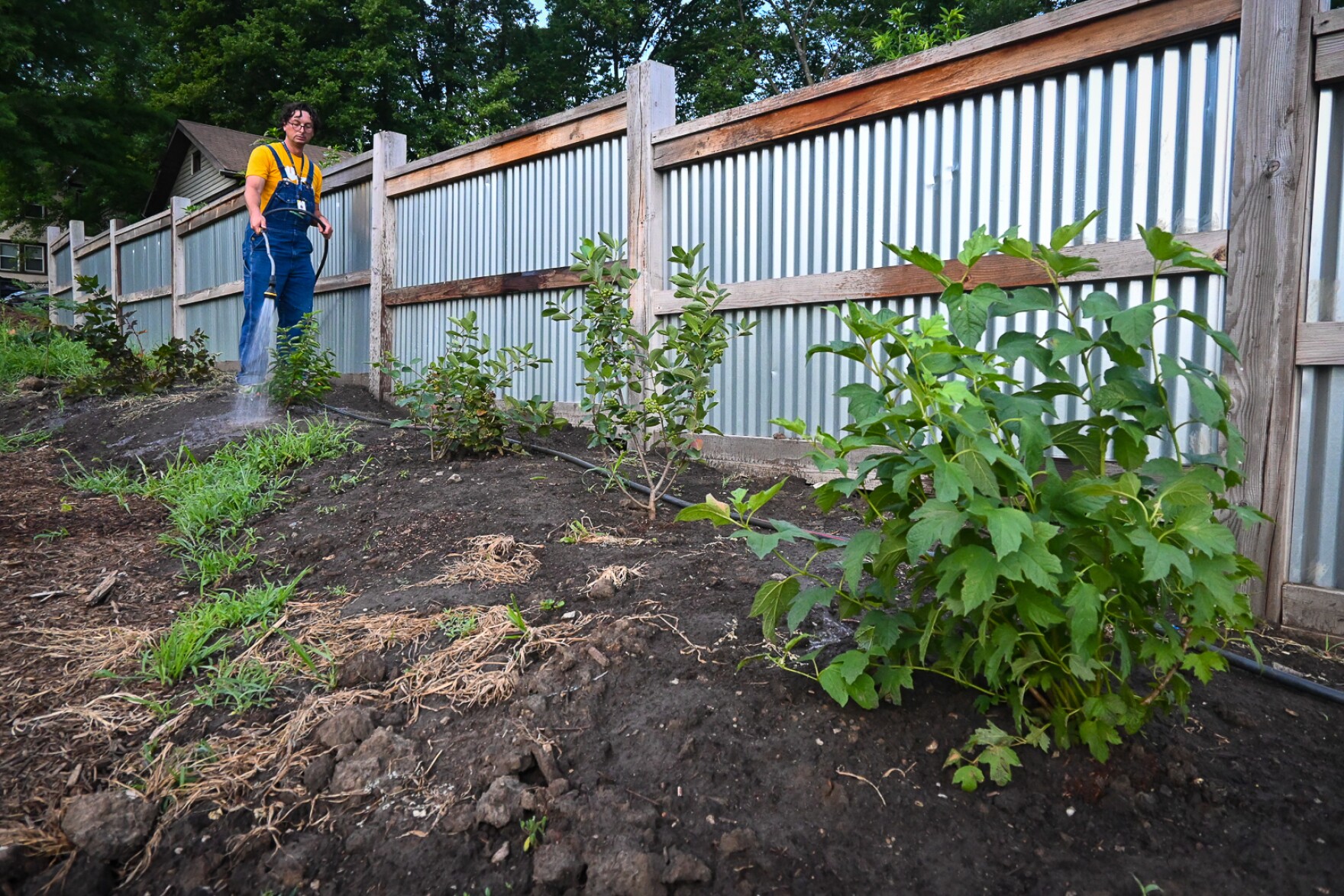 These Kansas City beekeepers are bringing hives of pollinators to urban